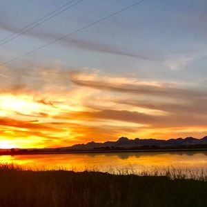 Meet your Posher, Dan